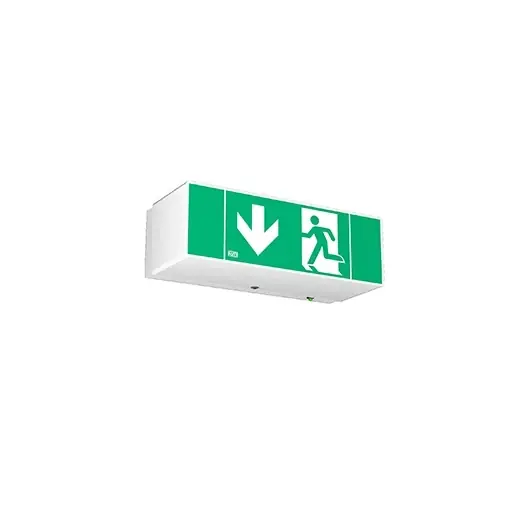 RZB Minisign LED noodverlichtingsarmatuur Vluchtwegindicatie Wandopbouw/plafondopbouw wit IP40 met pictogram 672188.002 Bestseller