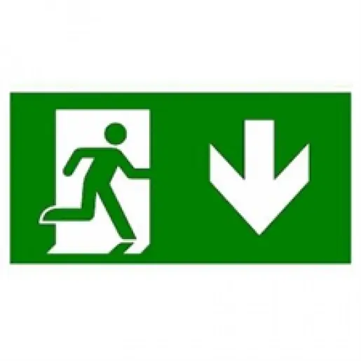 Eaton Blessing Atlantic noodverlichting pictogram 155-001-004 Direct Verzonden