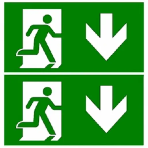 Eaton Blessing Velos noodverlichting pictogram Acrylglas plaat O-ESP-IDD Fabrieksprijs