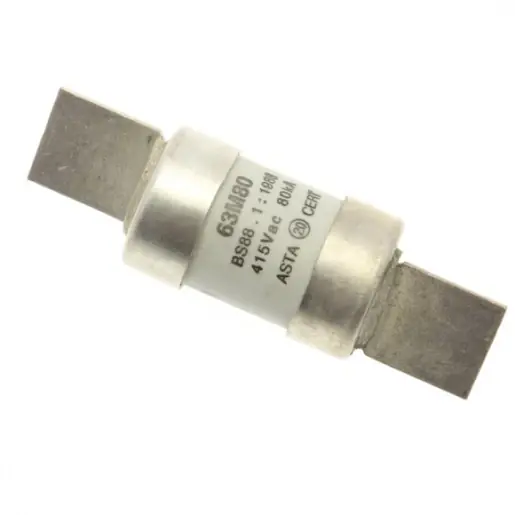 Eaton Bussmann Low Voltage Smeltpatroon (mes) 63A Gecertificeerd