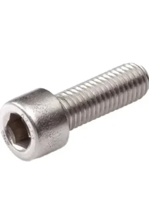 Hoenderdaal binnenzeskantbout din912 Zeskant (hexagonaal) Binnenzeskant RVS 2160.30.61201 Must-Have